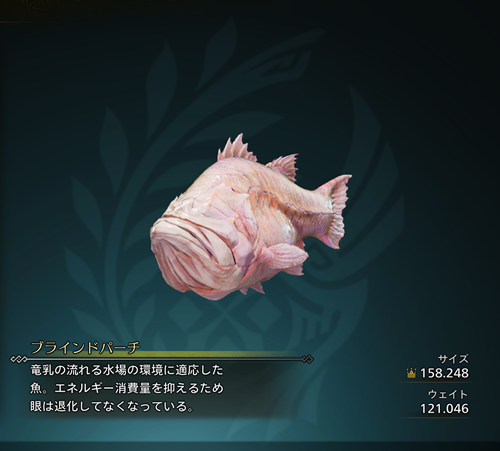 ブラインドパーチ 金冠