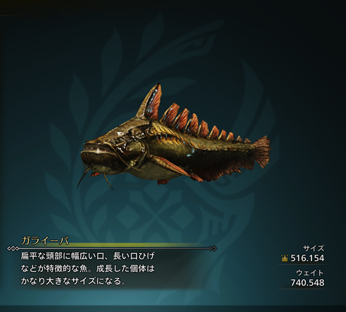 ガライーバ 金冠