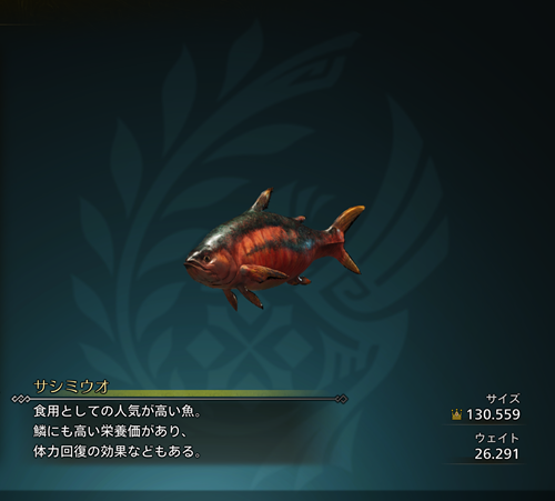 サシミウオ 金冠